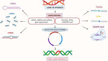 基因治疗：综合概述和治疗应用,Life Sciences - X-MOL