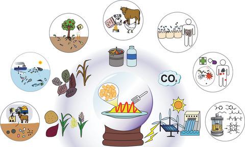 Microbial food: microorganisms repurposed for our food,Microbial