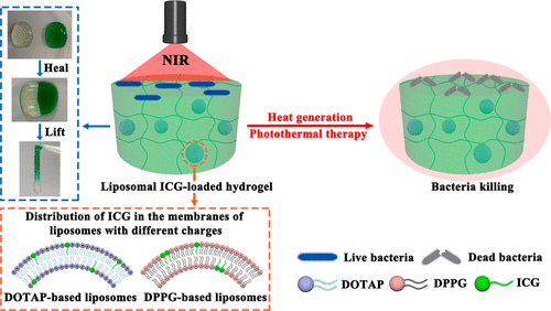 Indocyanine Green Performance Enhanced System For Potent Photothermal ...