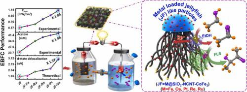 Investigating The Role Of Metals Loaded On Nitrogen-doped Carbon ...