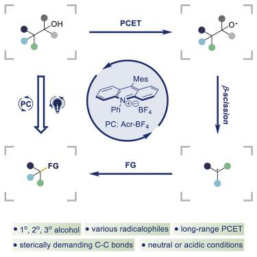 Catalytic Cleavage And Functionalization Of Bulky And Inert Csp3–Csp3 ...