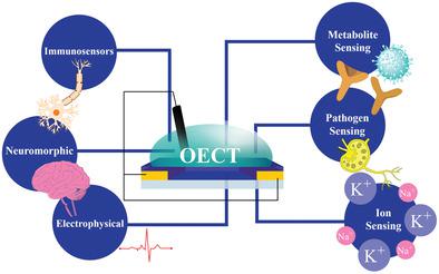 Organic Electrochemical Transistors: An Emerging Technology for Biosensing