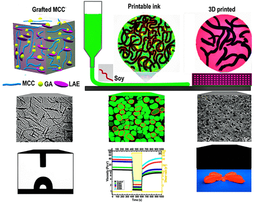 Frontiers Beyond Cellulose Pharmaceutical Potential For Bioactive