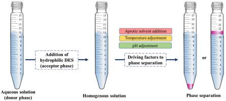 Homogeneous Liquid-liquid Microextraction Based On Deep Eutectic ...