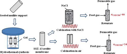 Template Removal and Surface Modification of an SSZ 13 Membrane