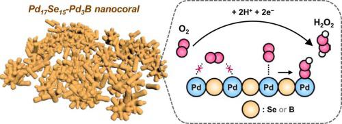 Pd17Se15-Pd3B Nanocoral Electrocatalyst For Selective Oxygen Reduction ...