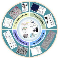 In-situ Multi-phase Flow Imaging for Particle Dynamic Tracking and ...