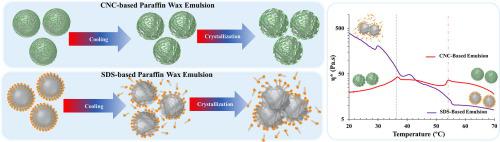 经历相变的乳液：乳化剂类型和浓度的影响,Journal of Colloid and 