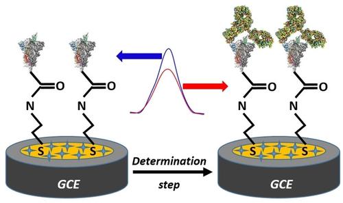 基于功能化sars Cov 2 刺突抗原修饰电极的sars Cov 2 刺突抗体检测电化学生物传感平台 Chemistryselect X Mol