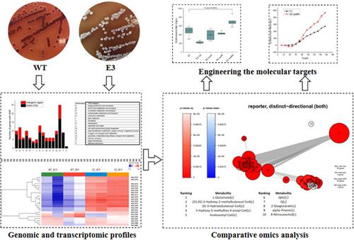 Comparative Genomic And Transcriptomic Analysis Guides To Further ...