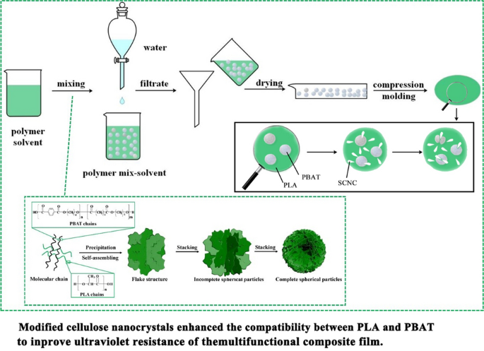 Modified Cellulose Nanocrystals Enhanced The Compatibility Between PLA ...