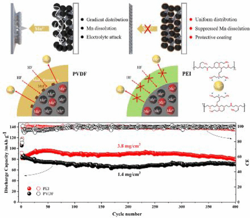 Mn2+ Ions Capture and Uniform Composite Electrodes with PEI 