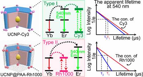 Influence On The Apparent Luminescent Lifetime Of Rare-Earth ...