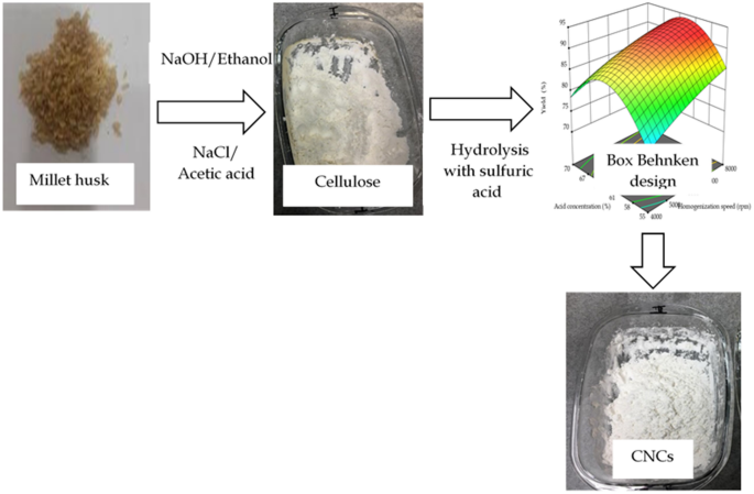 Extraction Of Cellulose Nanocrystals From Millet (Eleusine Coracana ...