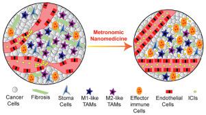 用纳米药物和节拍疗法使肿瘤微环境正常化以改善免疫疗法 Journal Of Controlled Release X Mol