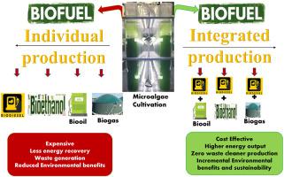 Integrated Microalgal Biorefinery Routes Energy Economic And