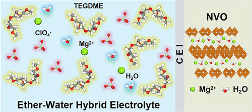 Ether–Water Hybrid Electrolyte Contributing To Excellent Mg Ion Storage ...