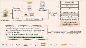 生物改性原料用于提质生物炭 一种提高芒草衍生生物炭吸附镉能力的绿色方法 Journal Of Cleaner Production X Mol