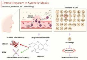 合成麝香的皮肤暴露 人类健康风险评估 机制和控制策略 Ecotoxicology And Environmental Safety X Mol