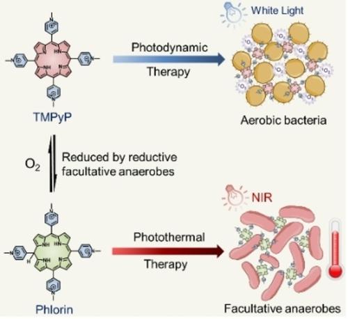 A Bacteria-Responsive Porphyrin For Adaptable Photodynamic/Photothermal ...