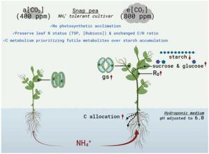 在co2 升高的条件下 铵营养能否增加植物的碳汇强度 在co2 升高的条件下 铵营养能否增加植物的碳汇强度 Plant Science X Mol