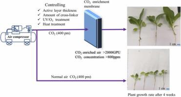 Carbon Dioxide Enrichment Of Pdms Psf Composite Membranes For Solving The Greenhouse Effect And Food Crisis Journal Of Co2 Utilization X Mol