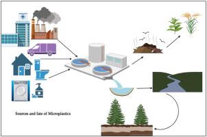 A Global Review Of Microplastics In Wastewater Treatment Plants ...