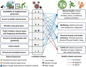 Nature's contributions in coping with a pandemic in the 21st