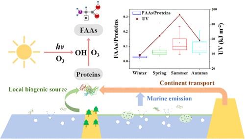 Aerosol Proteinaceous Matter in Coastal Okinawa Japan Influence