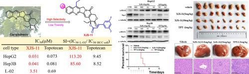 新型 7 乙基 10 氟 20 O 肉桂酸酯 喜树碱衍生物的设计与合成作为肝细胞癌潜在的高选择性和低毒拓扑异构酶 I 抑制剂 Biochemical Pharmacology X Mol