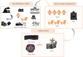 Live In Same Region, Respond Differently: Canine And Human Response To ...