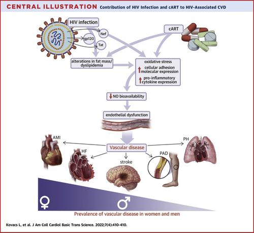 HIV、联合抗逆转录病毒疗法和男性和女性的血管疾病,JACC: Basic to 