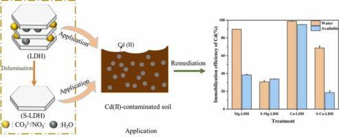 Remediation of Cd-contaminated Soil through Different Layered