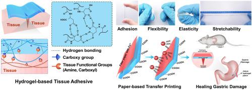 Robust Hydrogel Adhesives For Emergency Rescue And Gastric Perforation ...