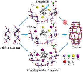 Insight Into The Fast Crystallization Process Of SSZ 13 Zeolite By Addition Of K Cation