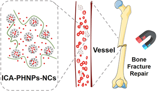 Icaritin Incorporated Porous Hollow Iron Oxide Nanostructures For Promoting Fracture Repair Acs Applied Nano Materials X Mol