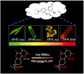 Fluorophore Dyes