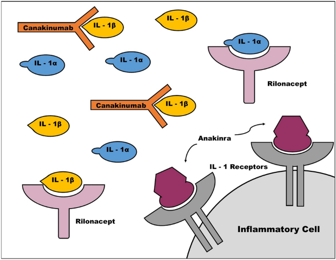 Interleukin-1 Antagonists For The Treatment Of Recurrent Pericarditis ...