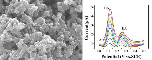 基于MOF-235纳米复合材料的多巴胺和尿酸的同时伏安法测定,Inorganic Chemistry Communications - X-MOL