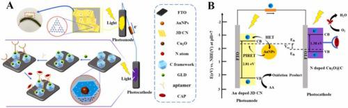 A Self-Powered Photoelectrochemical Aptasensor Based On Dual ...