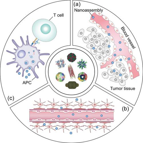 Emerging Prospects Of Protein/peptide-based Nanoassemblies For Drug ...