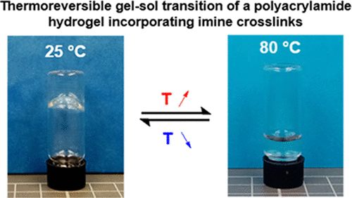 基于亚胺化学的缔合和热响应水性聚合物配方 Acs Applied Polymer Materials X Mol