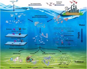 Critical Effect Of Biodegradation On Long-term Microplastic Weathering ...