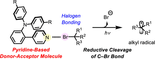 A Pyridine-Based Donor–Acceptor Molecule: A Highly Reactive ...