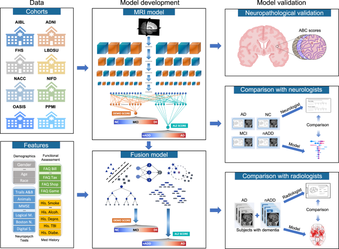 Multimodal Deep Learning For Alzheimer’s Disease Dementia Assessment ...