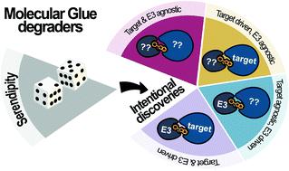 Chasing Molecular Glue Degraders: Screening Approaches