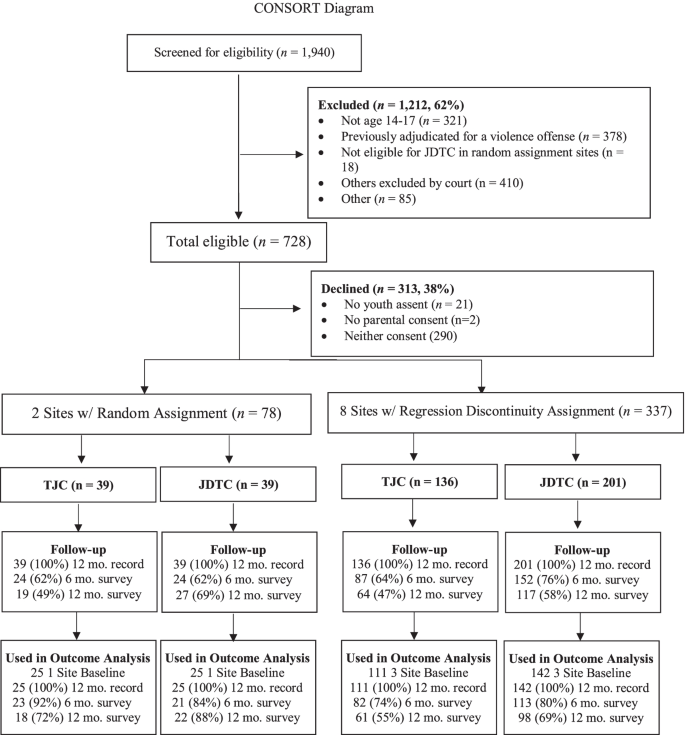 The Impact Of Juvenile Drug Treatment Courts On Substance Use Mental Health And Recidivism 3003