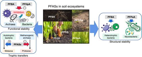 Linking Microbiomes With Per- And Poly-fluoroalkyl Substances (PFASs ...