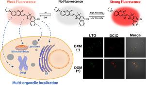 Multi-organelle-targeting PH-dependent NIR Fluorescent Probe For ...