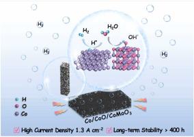 多层次钴基电催化剂用于高速率制氢,Applied Catalysis B: Environment And Energy - X-MOL